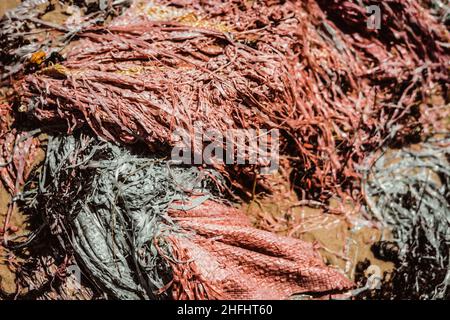 Real nature abstract beauty background. Copy space soft bag cloth rag fabric flap texture surface material on sand ground. Gray red colour. Design Stock Photo