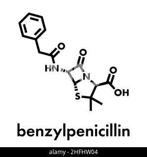 Penicillin G (benzylpenicillin) antibiotic drug molecule. Used to treat bacterial infections; belongs to beta-lactam class. Skeletal formula. Stock Vector