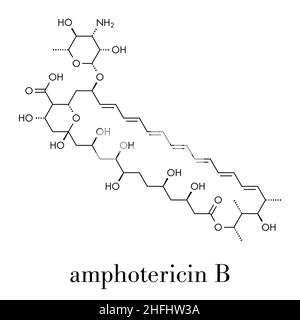 Amphotericin B antifungal drug molecule. Skeletal formula. Stock Vector