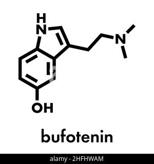 Bufotenin molecule. Tryptamine present in several psychedelic toads. Skeletal formula. Stock Vector