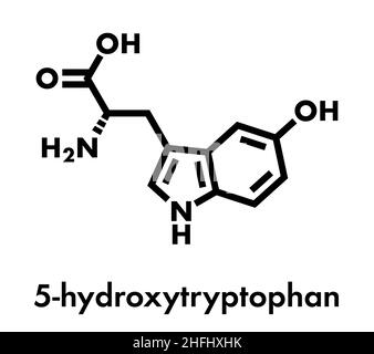 5-Hydroxytryptophan amino acid molecule. Skeletal formula. Stock Vector