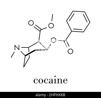 Cocaine stimulant drug molecule. Used as salt or as free base (crack, freebase). Skeletal formula. Stock Vector