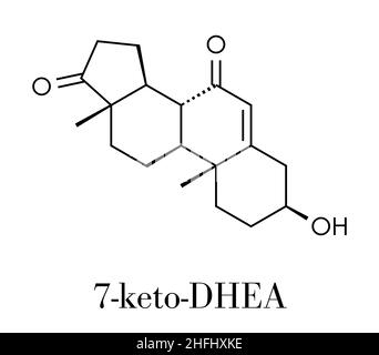 7-Ketodehydroepiandrosterone or 7-keto-DHEA molecule. Skeletal formula. Stock Vector