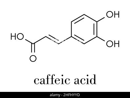 Caffeic acid molecule. Intermediate in the biosynthesis of lignin. Skeletal formula. Stock Vector
