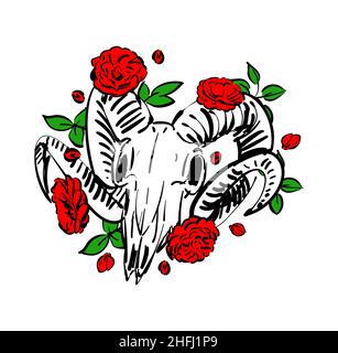 Goat skull and flower. Goat head skeleton And rose. hand drawing Vector illustration Stock Vector