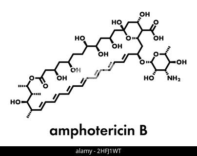 Amphotericin B Antifungal Drug Molecule. Skeletal Formula Stock Vector ...