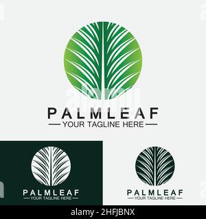 Tropical Palm leaf logo vector design template Stock Vector