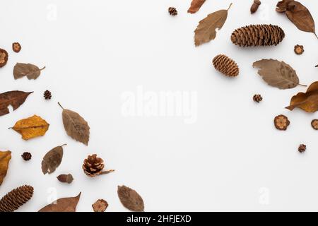 Autumn composition, dried leaves.  and pine cones on white background. Flat lay, top view with copy space Stock Photo
