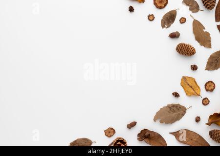 Autumn composition, dried leaves.  and pine cones on white background. Flat lay, top view with copy space Stock Photo