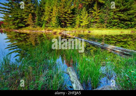 Peck Lake is a small lake in Algonqual Park Ontario, Canada that has a popular hike trail that circles the lake. Stock Photo