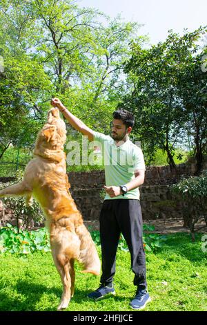 young man playing fetch with his golden retriever Stock Photo