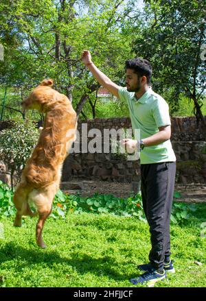 young man playing fetch with his golden retriever Stock Photo