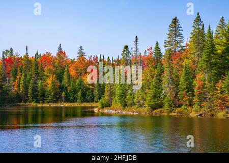 Peck Lake is a small lake in Algonqual Park Ontario, Canada that has a popular hike trail that circles the lake. Stock Photo