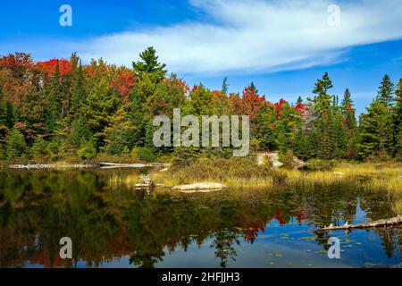 Peck Lake is a small lake in Algonqual Park Ontario, Canada that has a popular hike trail that circles the lake. Stock Photo