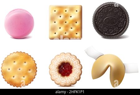 3d realistic vector collection of types of cookes. Crackers, macaroons, linzar cookie, fortune cookie. Isolated on white background. Front view. Stock Vector