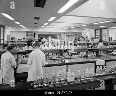 Parson's Field House, Durham University, Durham, County Durham, 29/10/1964. A busy chemistry laboratory at Durham University with students engaged in experimental work. Between 1963-1964, the Northern Region of Laing's Construction Company built a complex of buildings for Durham University consisting of chemistry, geology and a mathematics building, shown on maps as 'Science Laboratories'. This photograph was published in December 1964 in Laing's monthly newsletter 'Team Spirit'. It shows one of the chemistry laboratories in the complex, described in the newsletter as having four different gas Stock Photo
