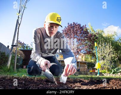 A teenage boy planting vegetable seeds in the back garden of his home during the Covid-19 lockdown, due to the difficulty of getting food deliveries. The Picturing Lockdown Collection was created during April and May 2020, in response to the Covid-19 pandemic. During seven days the public were asked to submit photographs that they felt best represented their experiences of lockdown in England, and from these submissions one hundred representing all the different geographic regions were chosen to be archived with Historic England. Alongside these images, ten artists were commissioned to produce Stock Photo