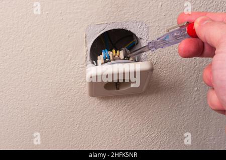 repair of electrical socket on the wall, with the aid of a phase finder screwdriver. A man's hand holds a phase finder screwdriver and checks an elect Stock Photo