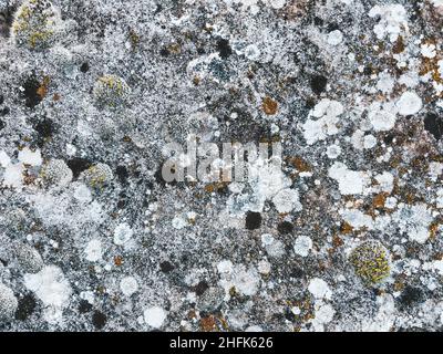 Texture of old stone close up. Natural background with stone pattern, moss and bumps from wind and water.  Stock Photo