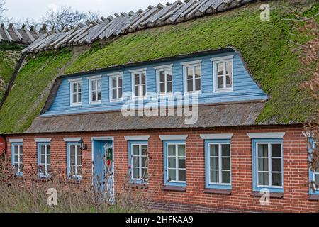 Thatched house, Falshöft, Schleswig-Holstein, Germany Stock Photo