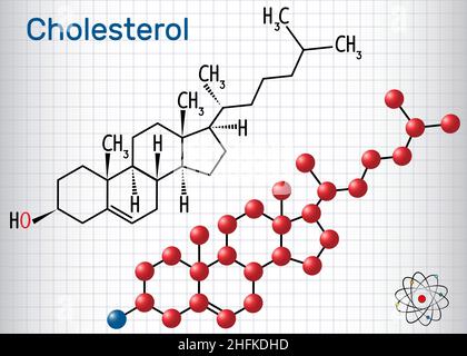 Cholesterol molecule. Structural chemical formula and molecule model. Sheet of paper in a cage. Vector illustration Stock Vector