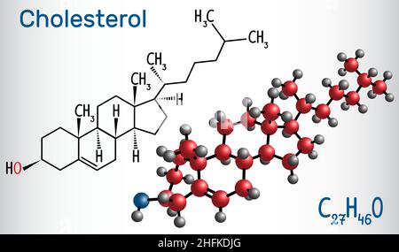 Cholesterol molecule. Structural chemical formula and molecule model. Vector illustration Stock Vector