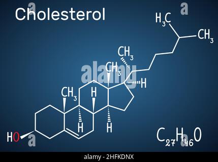 Cholesterol molecule. Structural chemical formula and molecule model on the dark blue background. Vector illustration Stock Vector