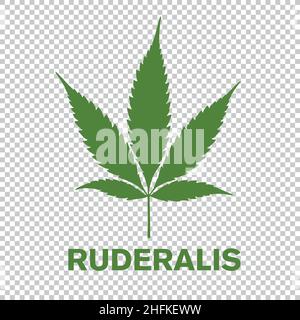 Ruderalis leaf or Marijuana, hemp leaf. Medical cannabis CBD plant. Isolated on checked transparent background. design element for printables, web, pr Stock Vector