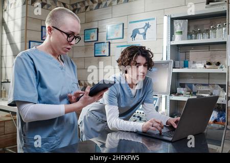 Young male doctor typing on computer and working online while his colleague using tablet pc, they standing at vet office Stock Photo