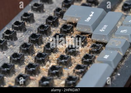 Close-up of a very dirty disassembled computer keyboard on the table. Disassembling a computer keyboard with your own hands, cleaning the keyboard Stock Photo