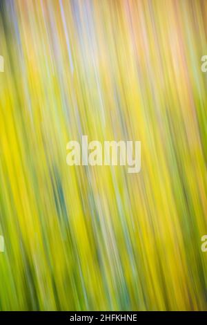 Moving color patterns Stock Photo