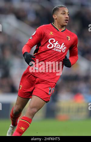 joao-pedro-watford-fc-2022-stock-photo-alamy