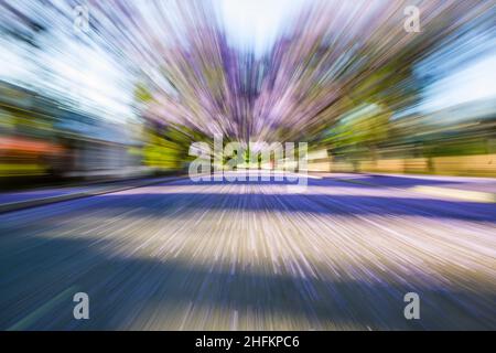zoom burst of purple flower  trees in street Stock Photo