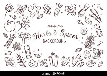 Hand drawn herbs and spices background. Food ingredients for cooking illustration. Isolated doodle icons on white background. Vector illustration. Stock Vector