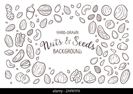 Hand drawn nuts and seeds background. Food ingredients for cooking illustration. Isolated doodle icons on white background. Vector illustration. Stock Vector