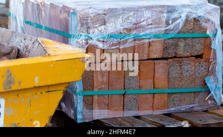 A delivery of building bricks on a wooden pallet. They have been placed next to a yellow skip. Stock Photo