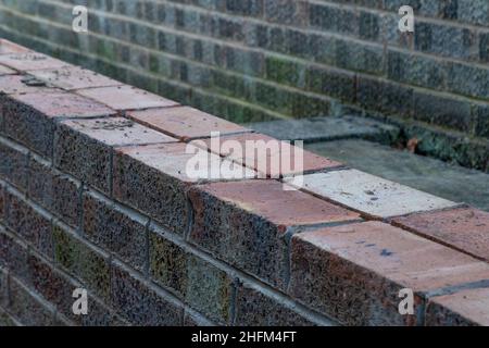 A solid, double brick garden wall being built. Stock Photo