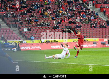 Cologne, Germany - January 2022: 1. FC Köln emblem on the white jersey  background Stock Photo - Alamy