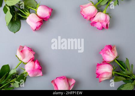 Overhead view of copy space surrounded by fresh pink roses over blue background Stock Photo