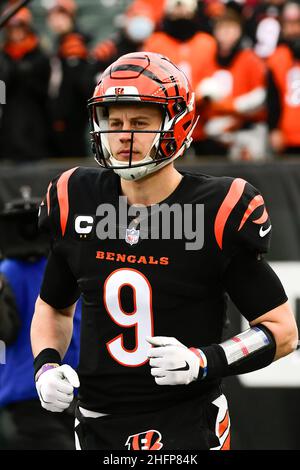 A Cincinnati Bengals helmet on Wednesday, Feb. 22, 2023. (Kirby Lee via AP  Stock Photo - Alamy