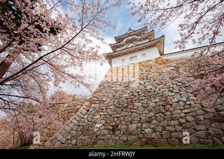 4個 SKULLS FLOWERS CASTLE WALL IN THE SKY