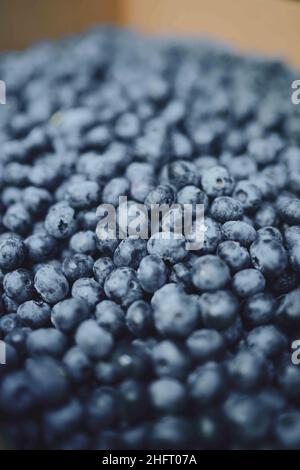 Closeup Blueberries Fresh Picked in Box Stock Photo