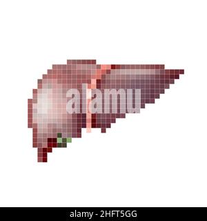 Pixel art vector illustration of healthy human liver with gallbladder isolated on white Stock Vector