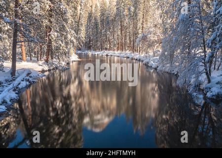Snow-covered trees and their reflections on the Merced River in Yosemite National Park, California, USA. Stock Photo