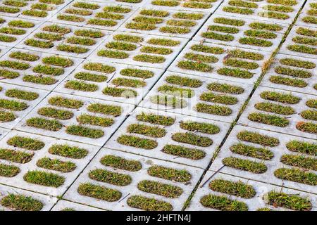 Stone pavement with green grass as ar background. Stock Photo