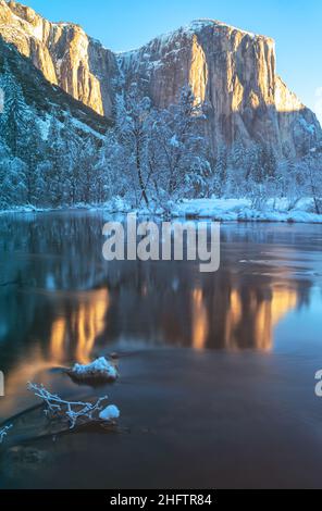 The iconic El Capitan and its reflection on the Merced River at sunrise, Yosemite National Park, California,USA.