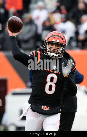 Houston, TX, USA. 27th Dec, 2020. Cincinnati Bengals quarterback Brandon  Allen (8) throws a pass during the 1st quarter of an NFL football game  between the Cincinnati Bengals and the Houston Texans