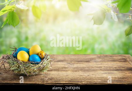 Easter eggs in the green nest on wooden table on blurred natural bakground. Copy space Stock Photo