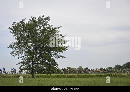 Fabio Ferrari/LaPresse May 21, 2021 Italy Sport Cycling Giro d'Italia 2021 - 104th edition - Stage 13 - from Ravenna to Verona In the pic: during the race. Stock Photo