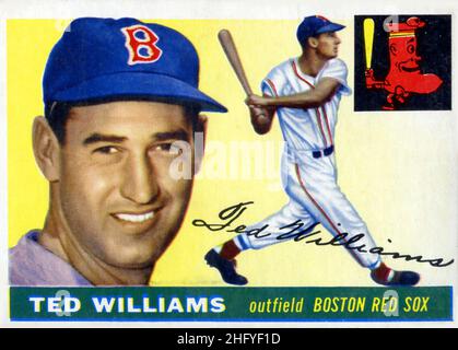 A 1955 Topps baseball card depicting Hall of Fame player Ted Williams with the Boston Red Sox. Stock Photo